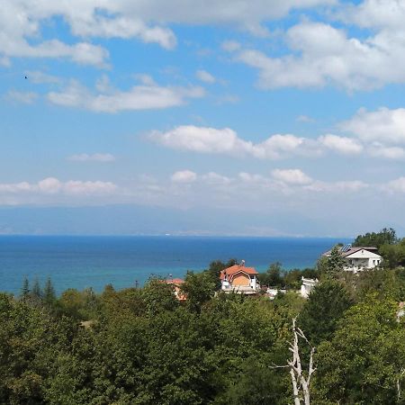The Brothers Villa Hotel Ochryda Zewnętrze zdjęcie