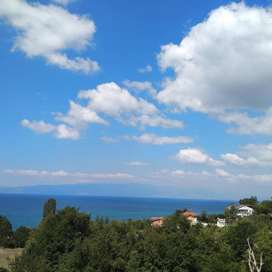 The Brothers Villa Hotel Ochryda Zewnętrze zdjęcie